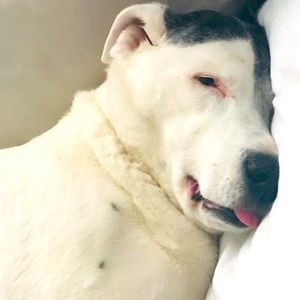 🤩Happy Sunday Y’all!!😜🤪🥳🤪